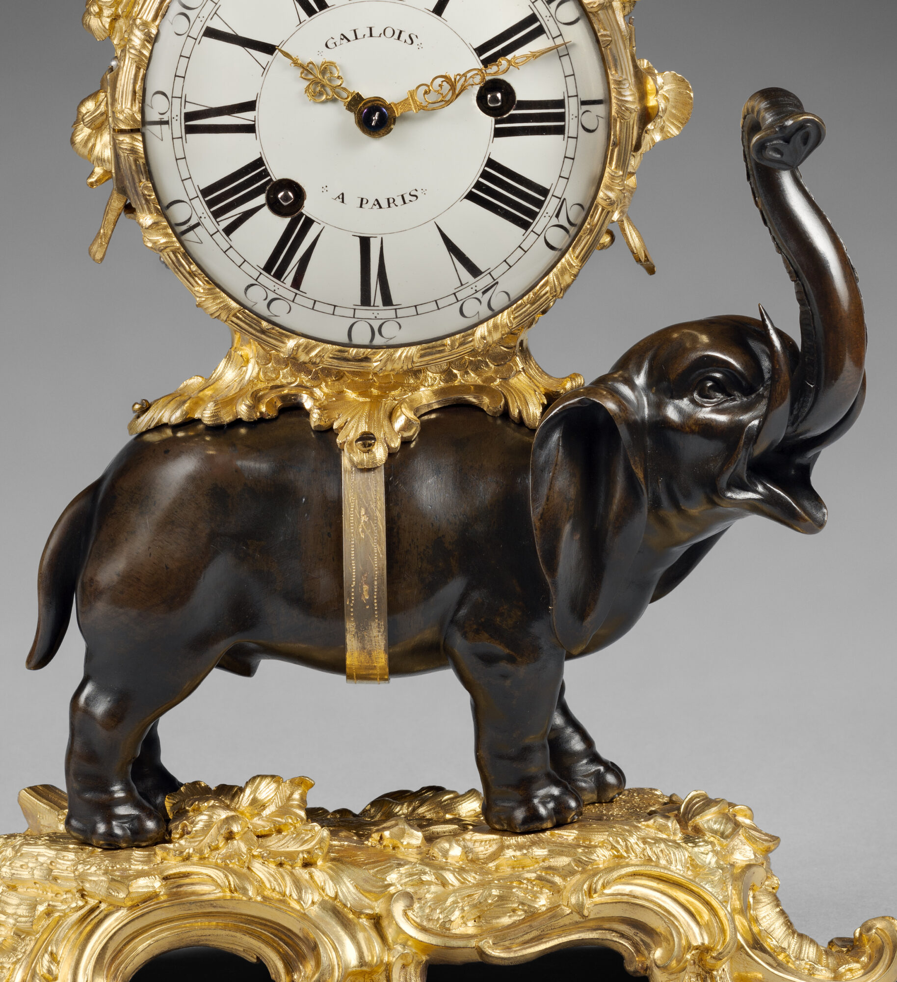 Animal Clock